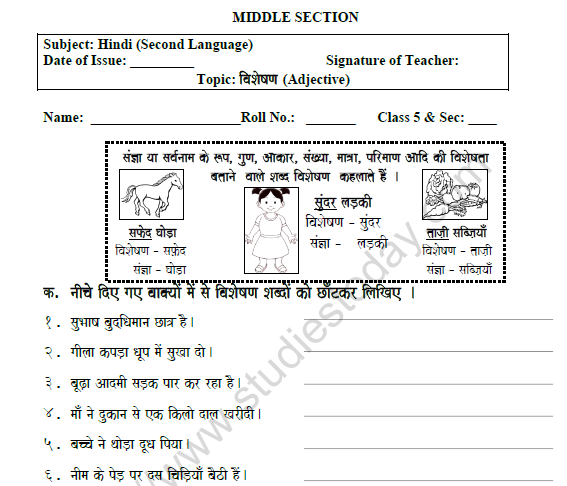 Adjective Worksheet For Class 5 In Hindi